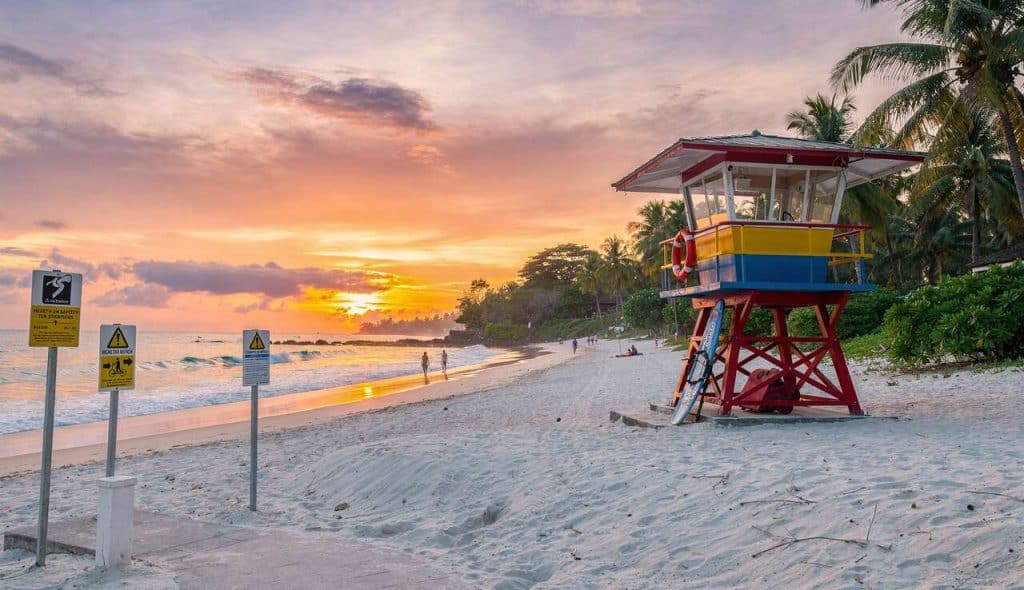 Guide de survie à Bali : conseils santé et sécurité pour voyageurs