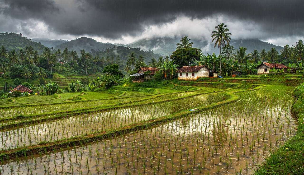 Les moussons : o&ugrave; et quand partir