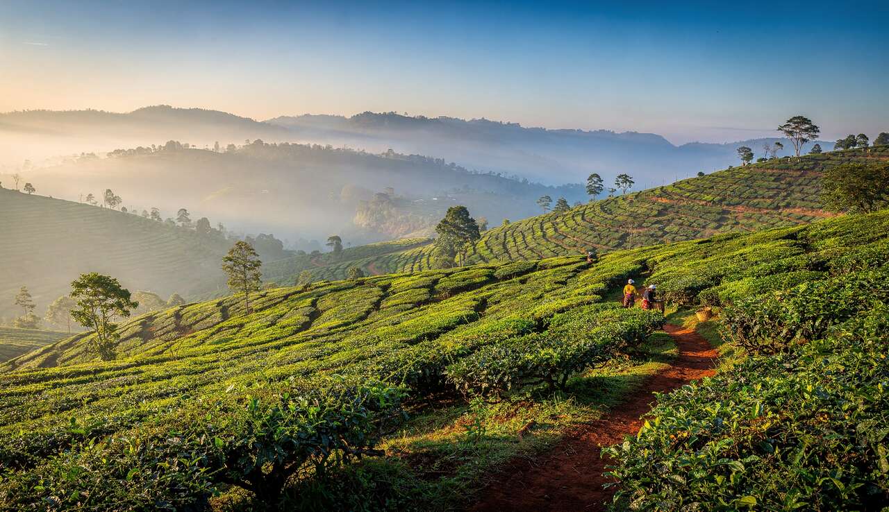 D&eacute;couverte des hautes terres et du triangle culturel