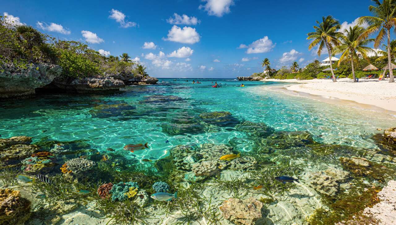 Que Faire à Cozumel Lors d'un Séjour au Mexique ?