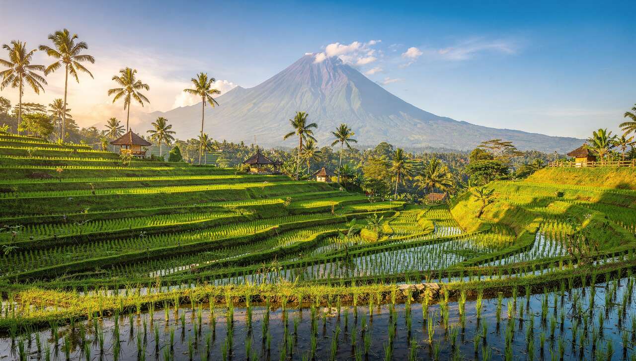 Les plus beaux treks à Bali : rizières et volcans à découvrir