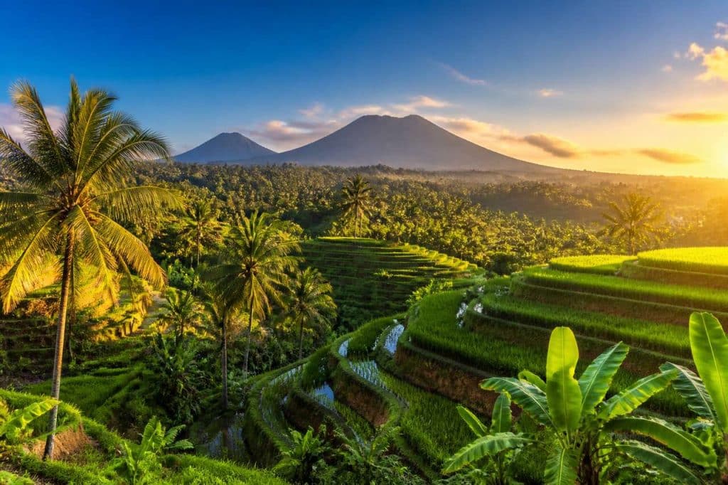 Les plus beaux treks à Bali : rizières et volcans à découvrir