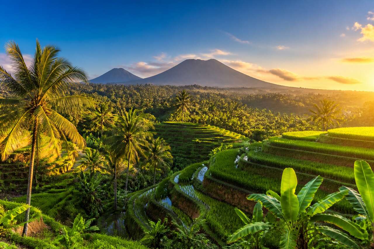 Les plus beaux treks à Bali : rizières et volcans à découvrir